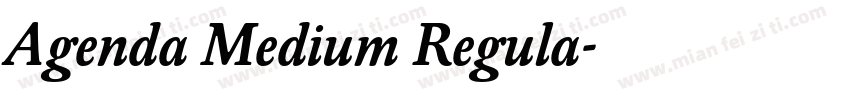 Agenda Medium Regula字体转换